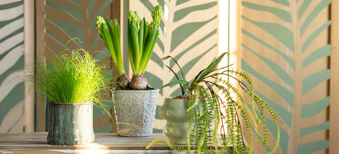 Cachepots de cerâmica