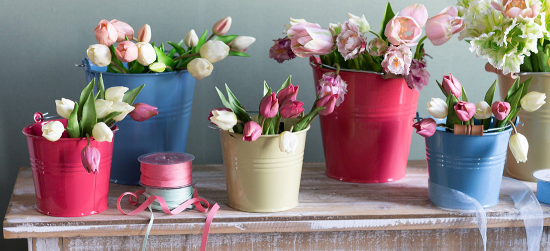 Flor do jardim e flor do prado