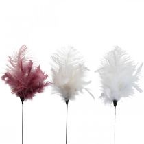 Itens Penas decorativas no palito penas de pássaros branco/creme/rosa escuro 3 unid.