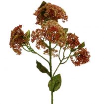 Itens Ramo decorativo do sedum Bordeaux, amarelo 58cm