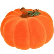 Itens Abóbora deco laranja grande Flocada decoração de outono Ø30cm