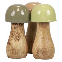 Itens Cogumelos de madeira cogumelos decorativos madeira bege, verde Ø5cm Alt.10,5cm 6 unidades