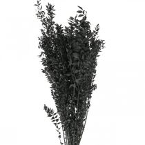 Itens Ramos de Ruscus ramos decorativos flores secas pretas 200g