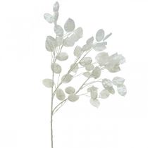 Itens Ramo decorativo folha de prata branca Ramo Lunaria Ramo artificial 70cm