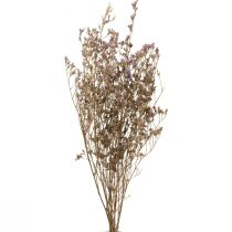 Itens Praia Lilás Limonium Flores Secas Roxas 70cm 50g