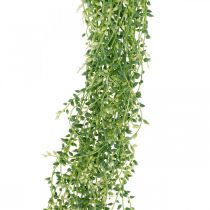 Suculenta planta suspensa artificial verde 96cm