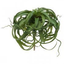 Tillandsia Planta verde artificial para colar Verde Grande Ø40cm