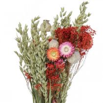Itens Ramo de flores secas Ramo de flores do prado Vermelho A50cm 150g