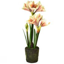 Itens Amarílis em bola de musgo artificial com flores estampadas rosa-amarelas - 45 cm - Decoração exótica e elegante