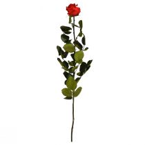 Itens Amorosa Rosa Infinita Vermelha com Folhas Preservadas L54cm