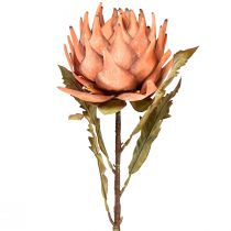 Itens Flor artificial de alcachofra outono laranja aspecto seco Ø15cm 73cm