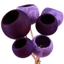 Copo de sino em palito Decoração exótica seca Purple Berry 44 cm 15 unidades