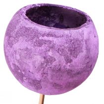 Itens Copo de sino em palito Decoração exótica seca Purple Berry 44 cm 15 unidades