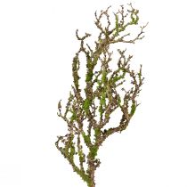 Itens Ramo decorativo com musgo decoração artificial de outono cinza verde L78cm