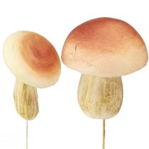 Cogumelos decorativos em palitos pequenos e grandes marrons Alt.10/11,5cm 8 peças