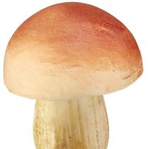 Itens Cogumelos decorativos em palitos pequenos e grandes marrons Alt.10/11,5cm 8 peças