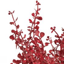 Itens Arbusto de eucalipto planta artificial vermelha eucalipto 28 cm 3 unidades