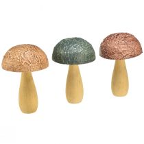 Cogumelos de madeira cogumelos decorativos decoração de outono madeira sortida 11 × 7,5 cm 3 unidades