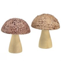 Cogumelos de madeira decorativos, decoração de mesa outono marrom natural 5 × 6 cm 8 unidades