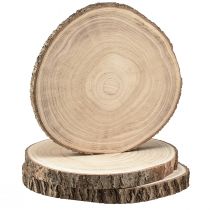 Discos de madeira disco de árvore Paulownia natural Ø26-28cm 3 unidades