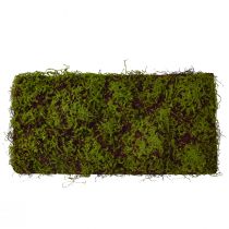 Itens Musgo Artificial Grande Tapete de Musgo Marrom Verde 100×50cm
