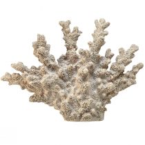 Decoração detalhada de coral em poliresina cinza - 26 cm - elegância marítima para sua casa