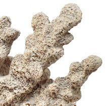 Itens Decoração detalhada de coral em poliresina cinza - 26 cm - elegância marítima para sua casa