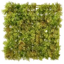 Itens Tapete de musgo artificial – perfeito para imagem de musgo verde claro 25×25cm