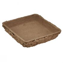 Itens Base Oasis Biolit ½ tijolo de espuma floral 13×13×2cm 12pcs