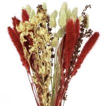 Itens Buquê de flores secas Buquê seco de grãos ouro vermelho 50cm