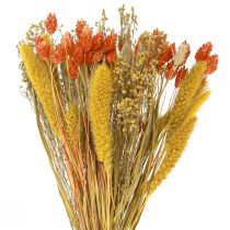 Itens Buquê de flores secas com grão amarelo laranja 50cm