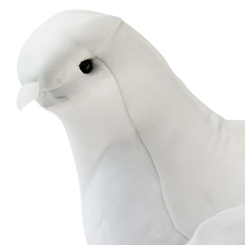 Floristik24 Pomba de decoração de casamento pombas de casamento brancas com clipe 31,5 cm