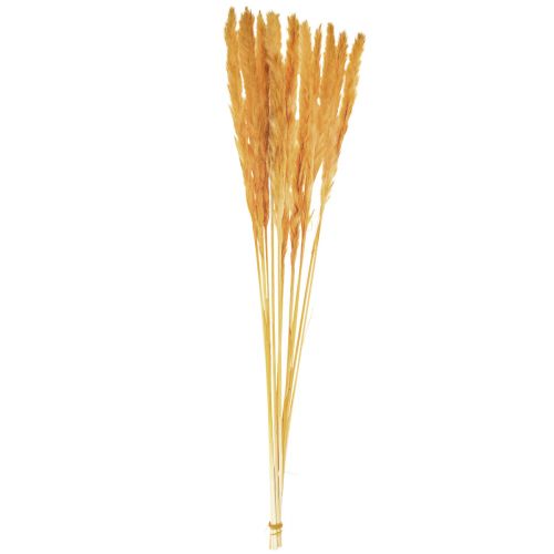 Itens Decoração de grama de pampas, grama de pampas seca grama de pampas amarela 74cm 10 un