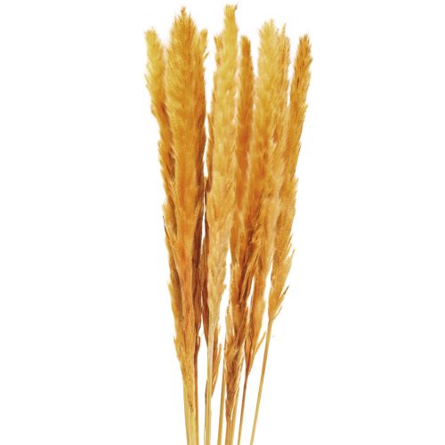 Decoração de grama de pampas, grama de pampas seca grama de pampas amarela 74cm 10 un