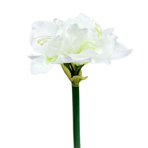  Flor de Amaryllis branca L 73cm 2pcs - compre barato online