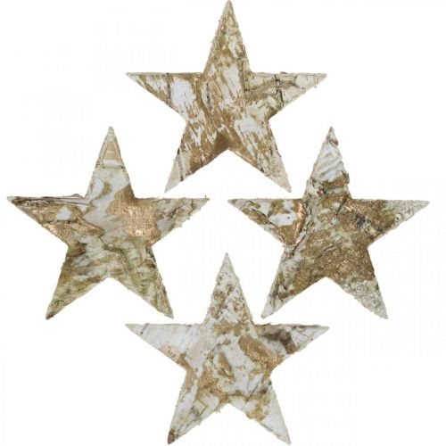 Floristik24 Estrela decorativa em casca de bétula estrelas naturais, douradas 6,5 cm 30 unidades