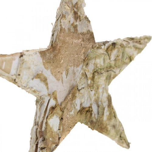 Itens Estrela decorativa em casca de bétula estrelas naturais, douradas 6,5 cm 30 unidades