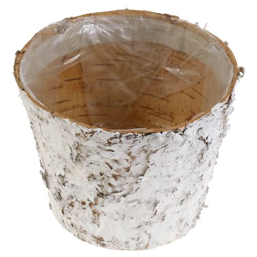 Itens Vaso decorativo vaso de bétula branqueada Ø18cm Alt.15cm 2 unidades