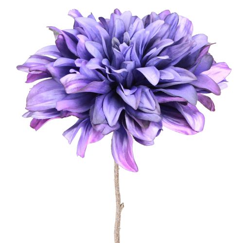 Floristik24 Dália artificial com flores grandes em roxo C58cm