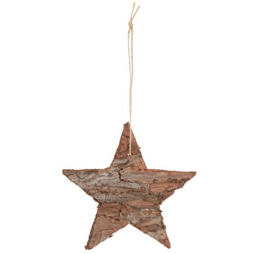 Itens Estrelas decorativas para pendurar estrelas de pinheiro naturais 15cm 4 un