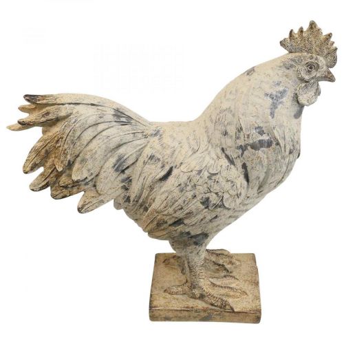 Floristik24 Galo decorativo para figura decorativa de jardim aparência de pedra H26cm