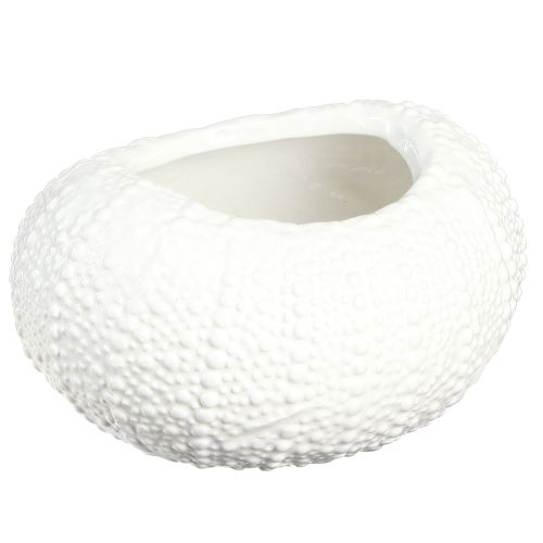 Tigela decorativa cerâmica marítima oval em branco 19x15x8,5cm