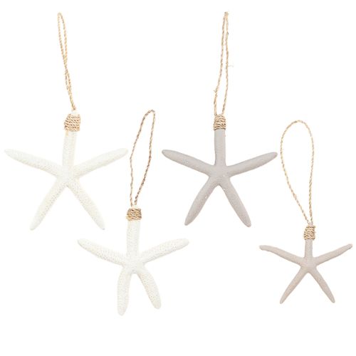 Floristik24 Cabide marítimo de decoração de estrela do mar real cinza branco 10-14cm 4 unidades