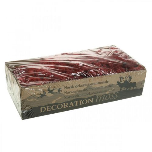 Itens Musgo decorativo Red Bordeaux Rena musgo para artesanato 400g