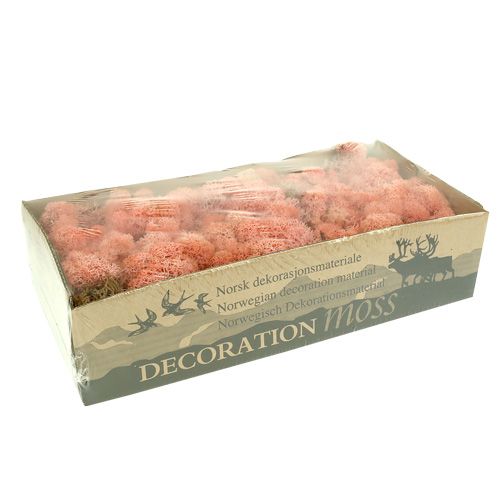 Itens Deco musgo rena musgo rosa 400g