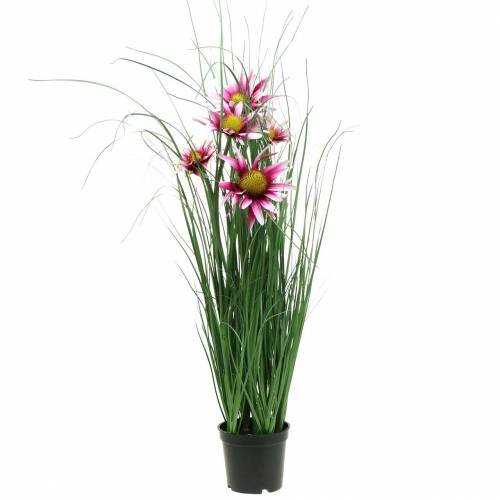 Grama com Echinacea artificial em um vaso rosa 63cm