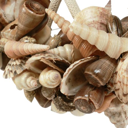 Itens Anel decorativo de madeira concha de caracóis marinhos decoração natural Ø25cm