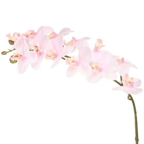 Itens Orquídeas Artificiais Luz Rosa Flores Artificiais Toque Real 58cm 2pcs