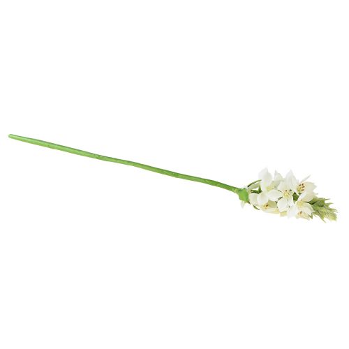 Itens Jardim de flores artificiais estrela de leite flor artificial branca 50cm