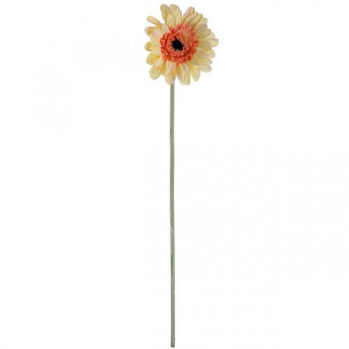 Itens Flor artificial gérbera flor artificial damasco Ø11cm L50cm